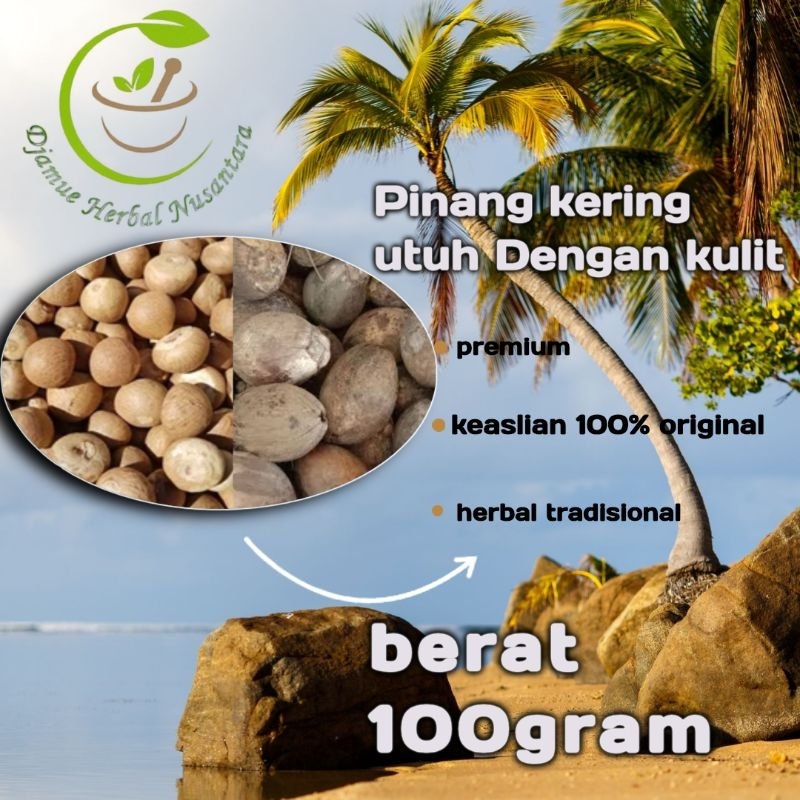 

stamina kuat pria buah pinang kering dengan kulitnya 100gram kualitas premium original