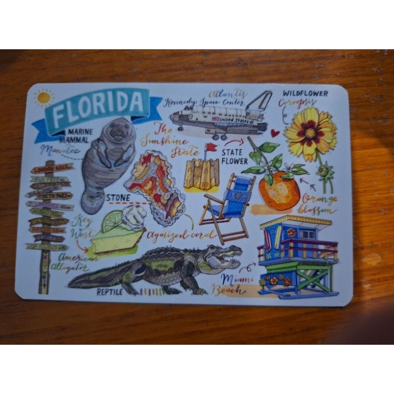 

kartu pos loupaper florida/florida loupaper postcard