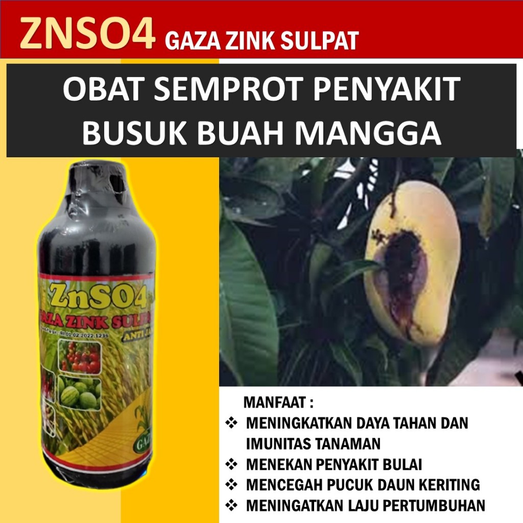 znso 500 ml pupuk busuk buah mangga - ZnSO₄ sebagai Antimikroba Alami dalam Mencegah Busuk Buah fung