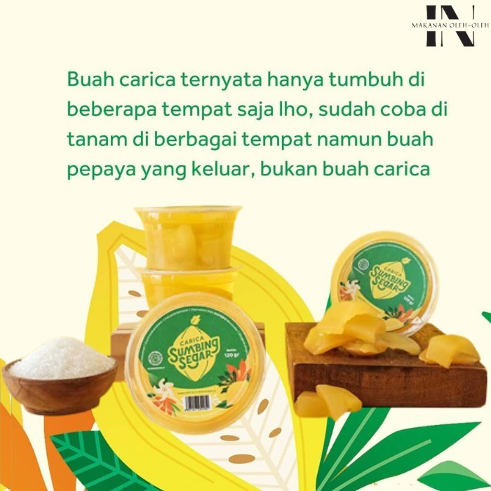 

Ay00! Carica Sumbing Segar Kemasan Buah Carica Minuman Carica Segar Berbagai Macam Kemasan