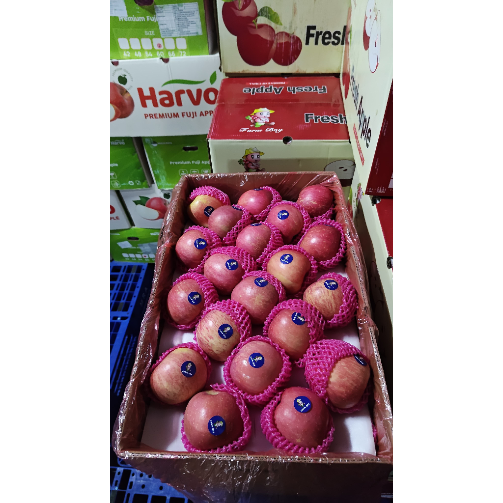 

Apel Fuji Fresh Farm Boys S100 / 16KG (KHUSUS INSTANT)