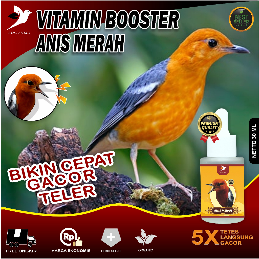 Vitamin Burung Anis Merah / Vitamin Burung Anis Kembang / Booster Anis / Doping Anis / Vitamin Burun