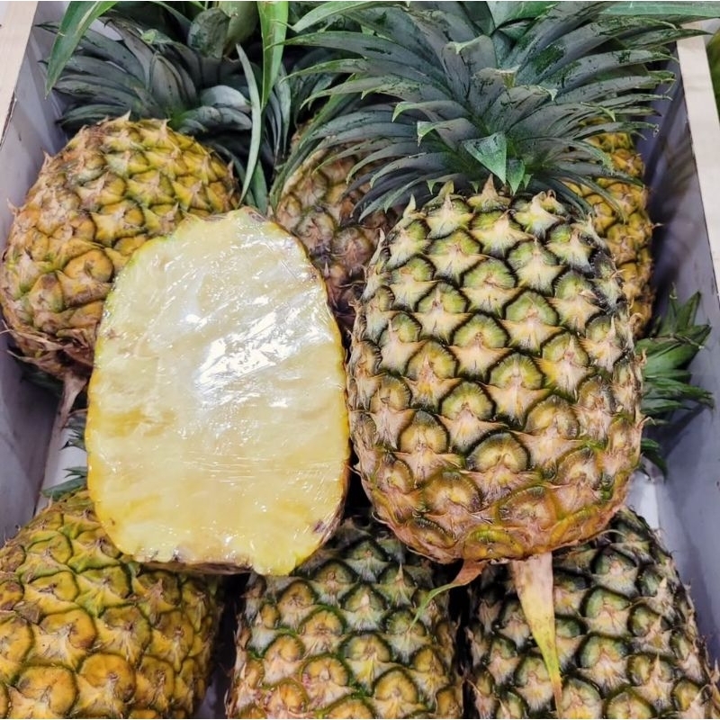 

Nanas Lokal Jumbo Fresh IgnacioBox 1 Pcs/Biji