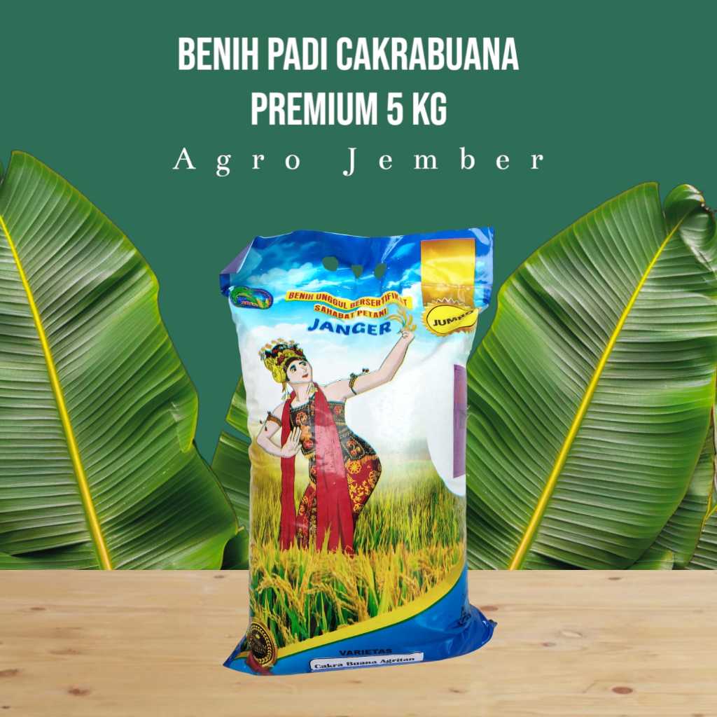 

Benih Padi CAKRABUANA Janger Premium - 5 KG