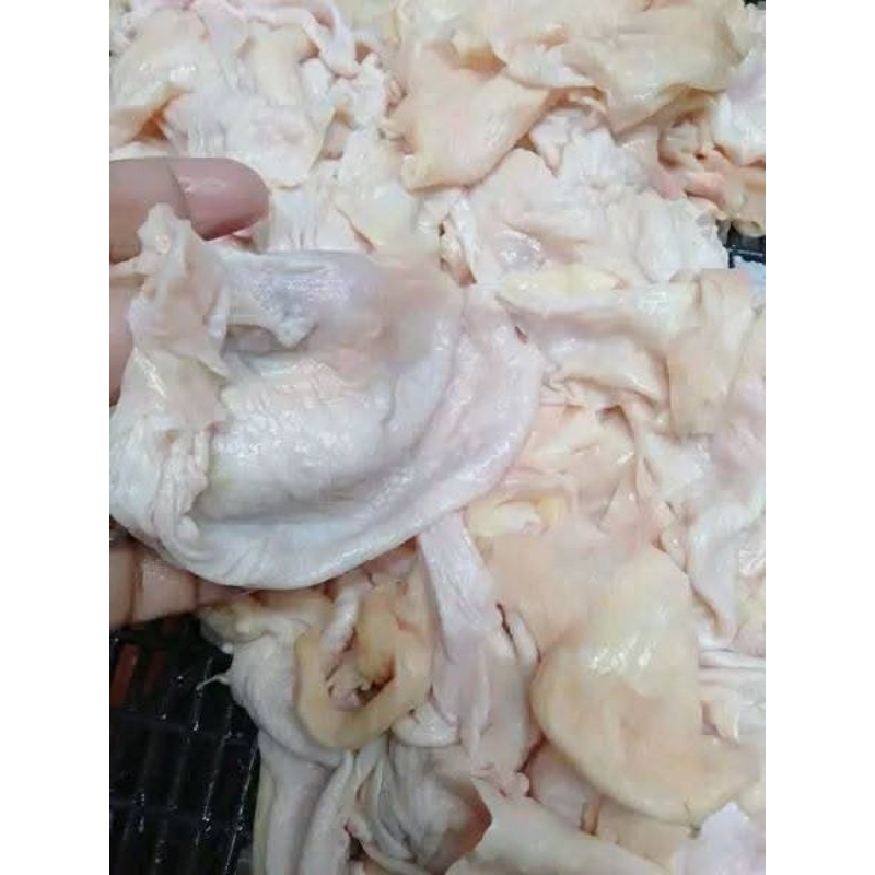 

KULIT BODY AYAM LEBAR