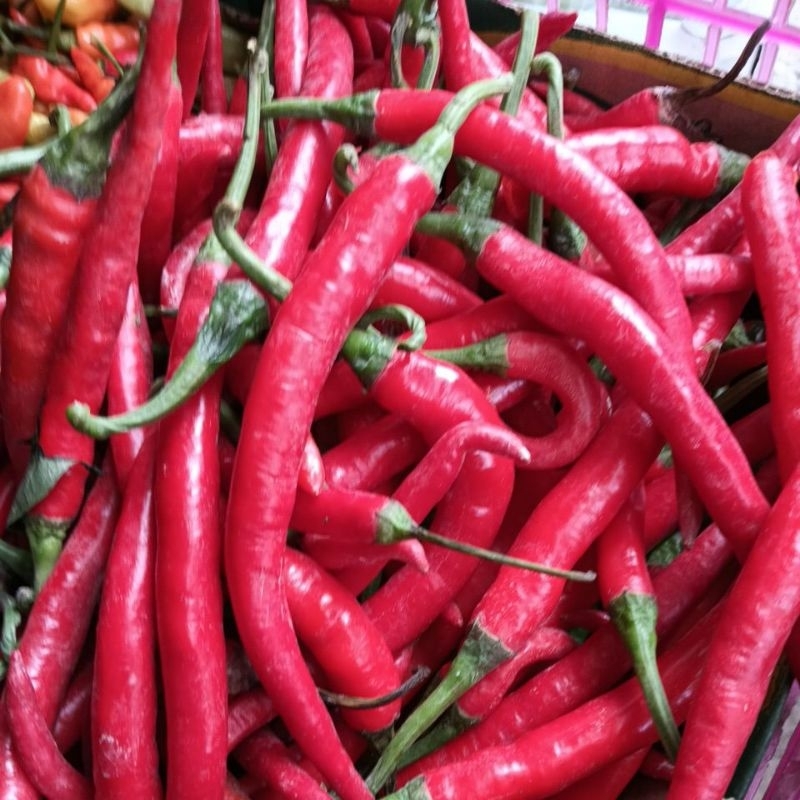 

cabe merah