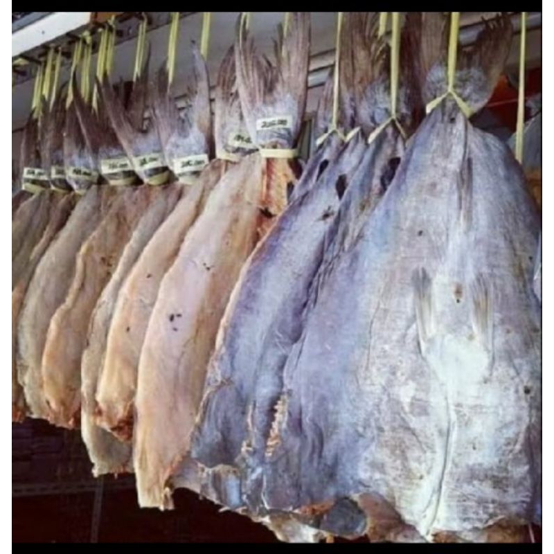 

Asin jambal roti asli 100%