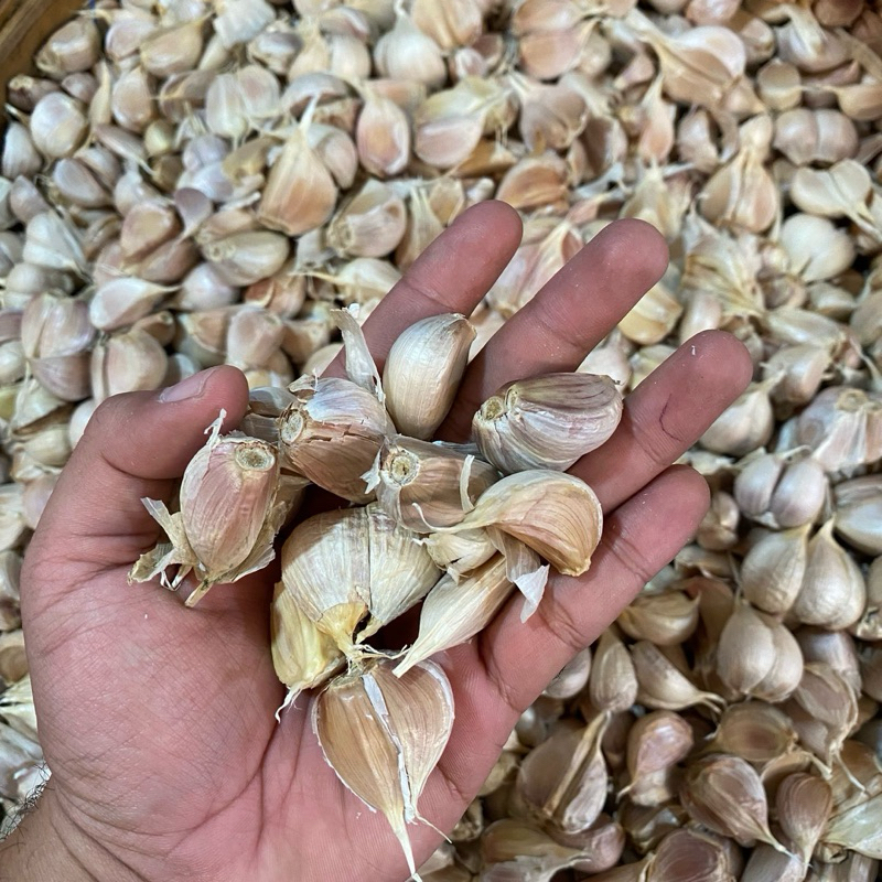 

Bawang Putih Kating 100g
