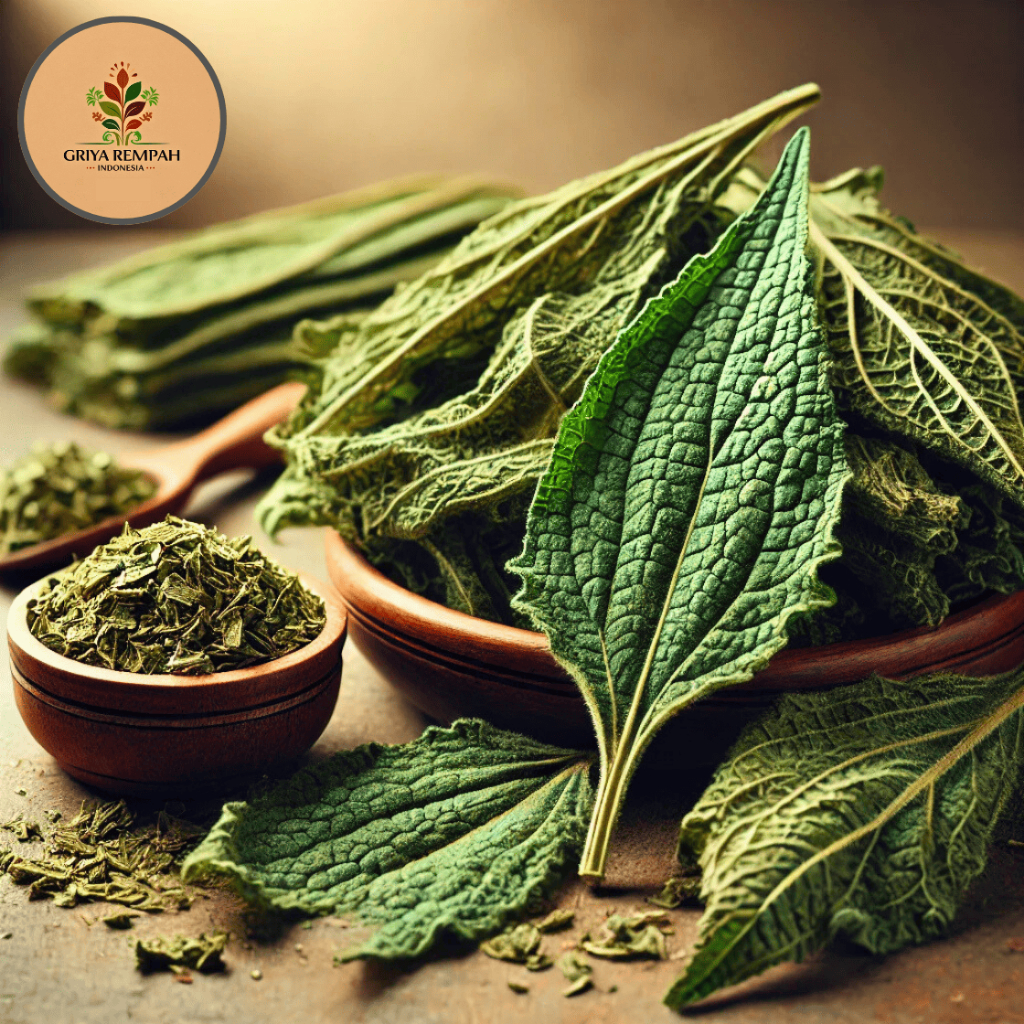 

DAUN KOMFREY KERING 250 GRAM Comfrey Rempah Herbal Simplisia Alami Kesehatan Ramuan Jamu Tradisional Perawatan Tubuh Symphytum officinale