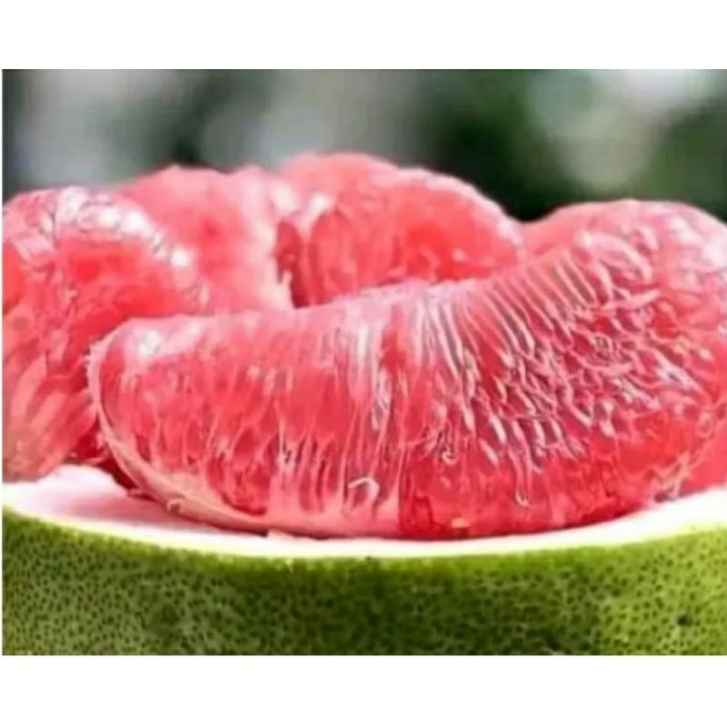 

jeruk pamelo 1,1kg _1,2kg fresh