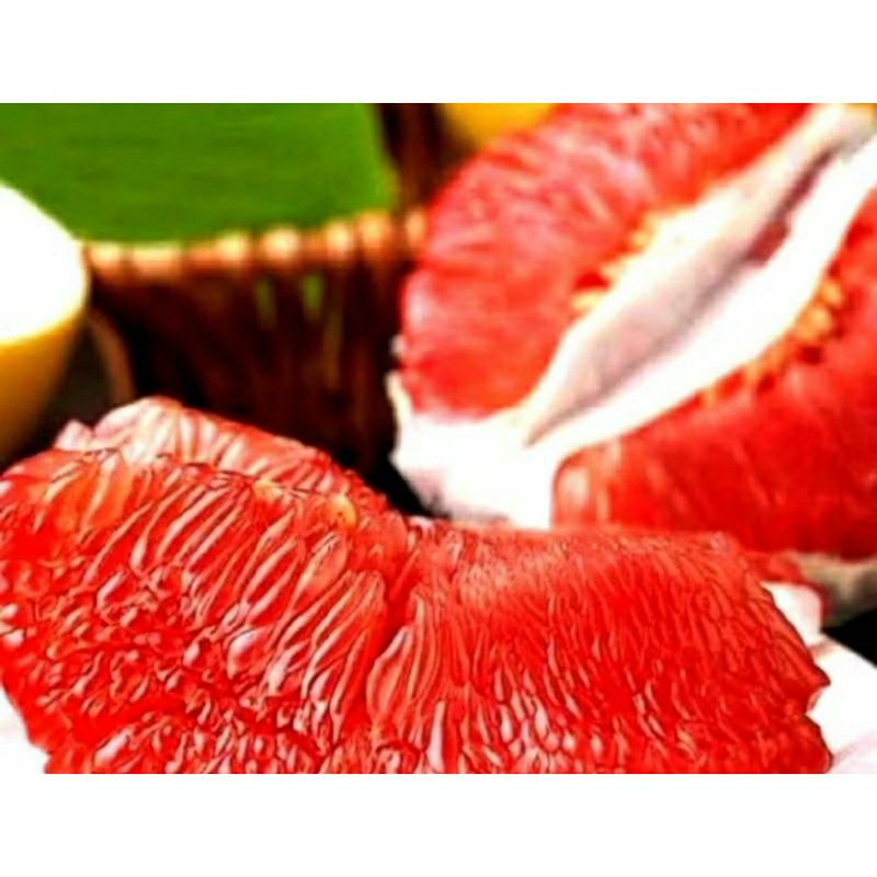 

jeruk pamelo 8ons - 9ons