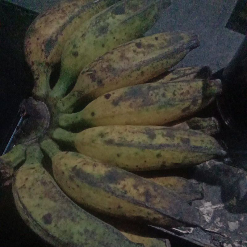 

pisang raja