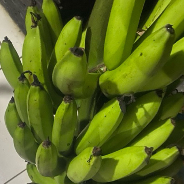 

Buah Pisang Matah DW FV 1 Kg Buah Pisang