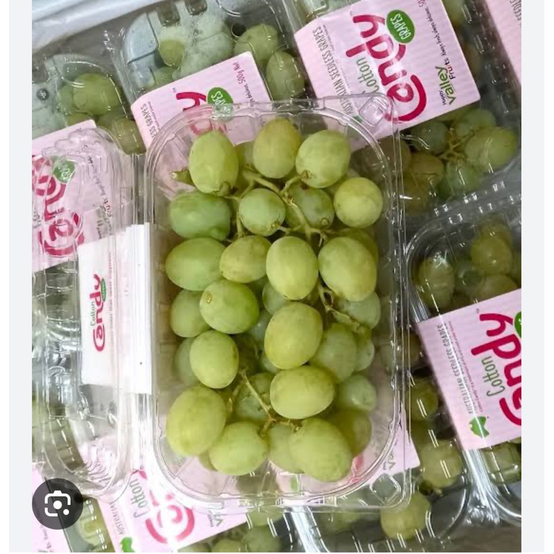 

Anggur Cotton Candy 500 gram viral