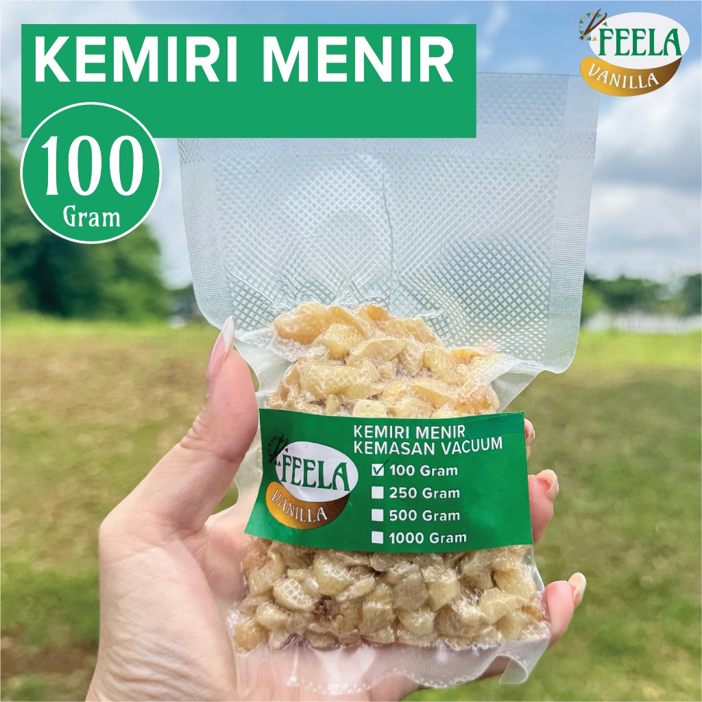 

Kemiri Menir 100 Gram Ukuran Pecah Kemiri Menir Pecah -Fresh NTT