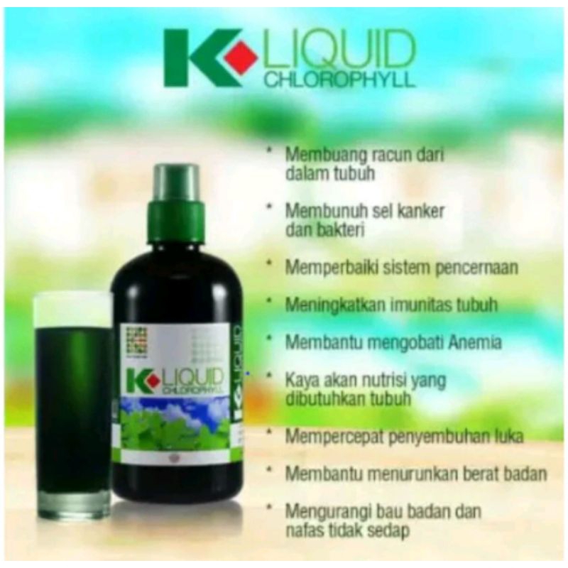

klorofil / chlorophyl