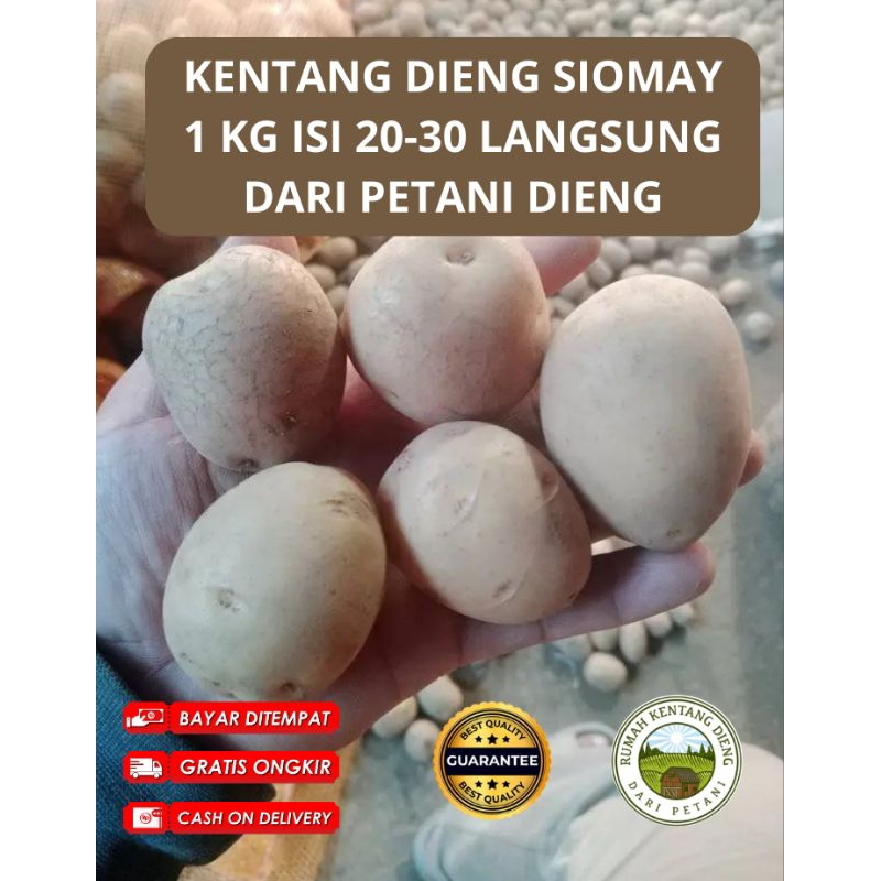 

Kentang Dieng siomay 1 kg isi 20an biji