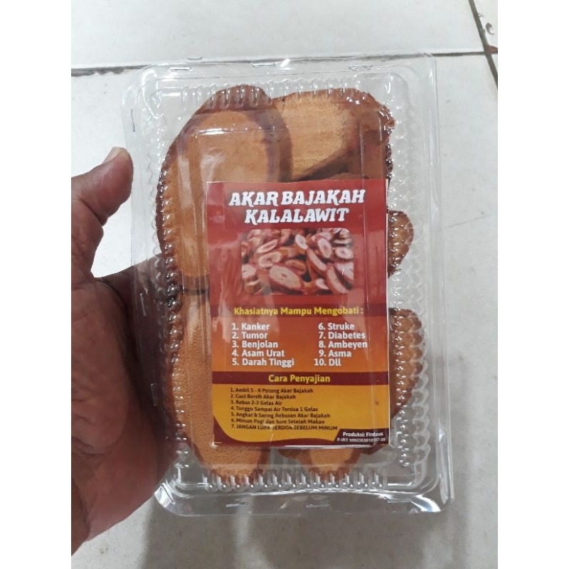 

Akar Bajakah kalalawit herbal Asli kalimantan