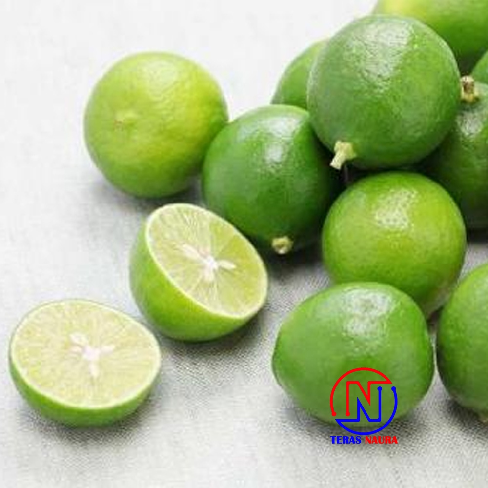 

1kg Jeruk Limau Segar Berkualitas - Jeruk Sambal
