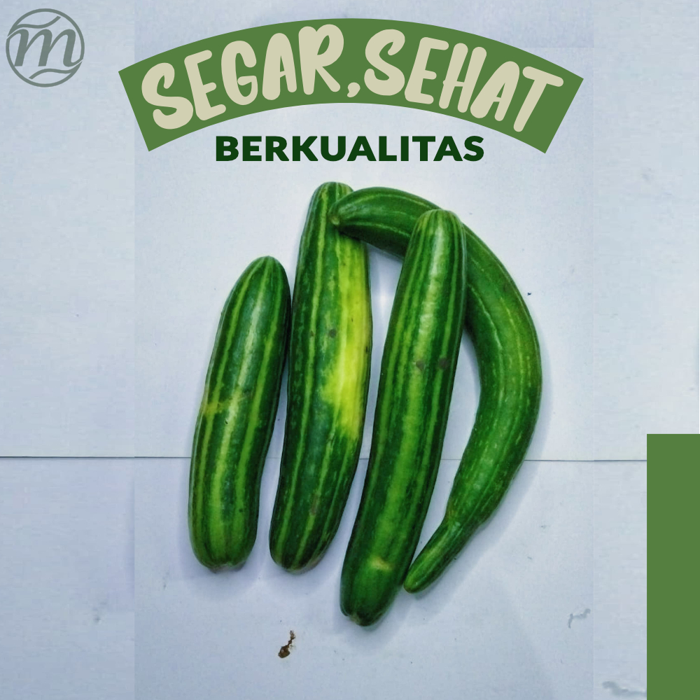 

sayuran timun krai segar untuk kesehatan