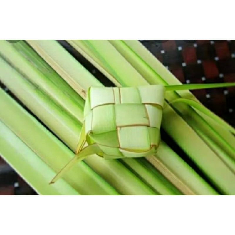 

daun kelapa muda buat ketupat lebaran 10 biji