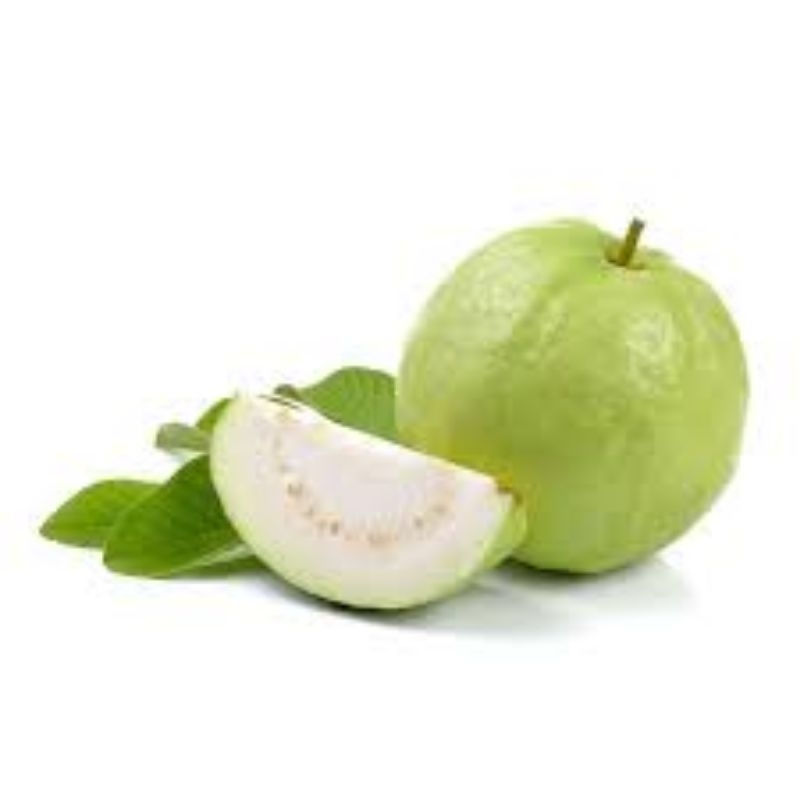 

jambu biji putih / jambu klutuk 1kg