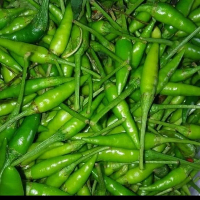 

CABE RAWIT IJO 500gram Segar dan Fresh Sayuran Sayur