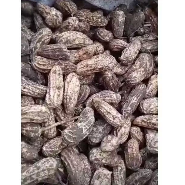 

Kacang Kulit Mentah 500gr