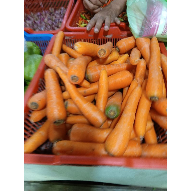 

Wortel Buah Wortel 1 Kilo Sayuran Segar