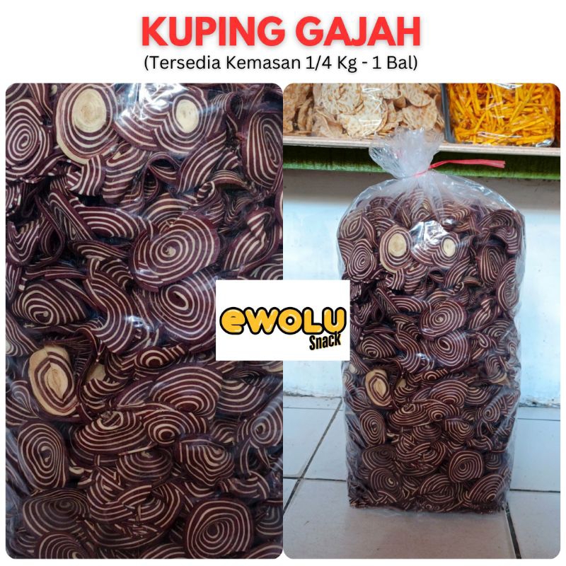 

KUPING GAJAH
