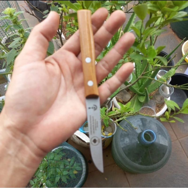 Pisau Old legend don carlos .