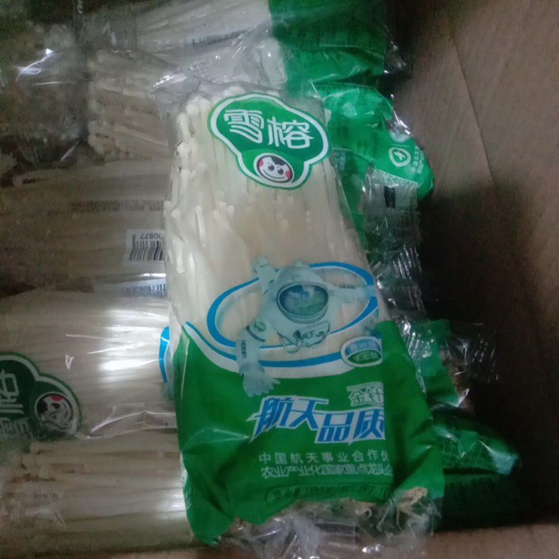

Jamur Enoki 100 gr