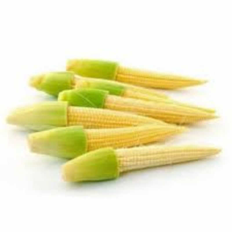 

jagung muda / janten baby corn berat 250gram