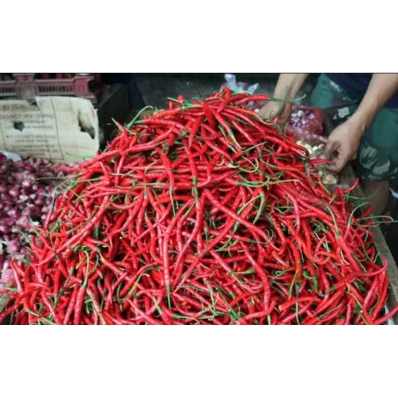 

cabai merah(500g)