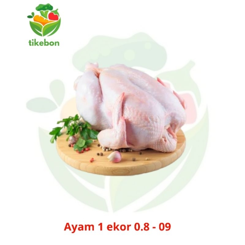 

tikebon / ayam broiler karkas / ekor 0,8 - 0,9