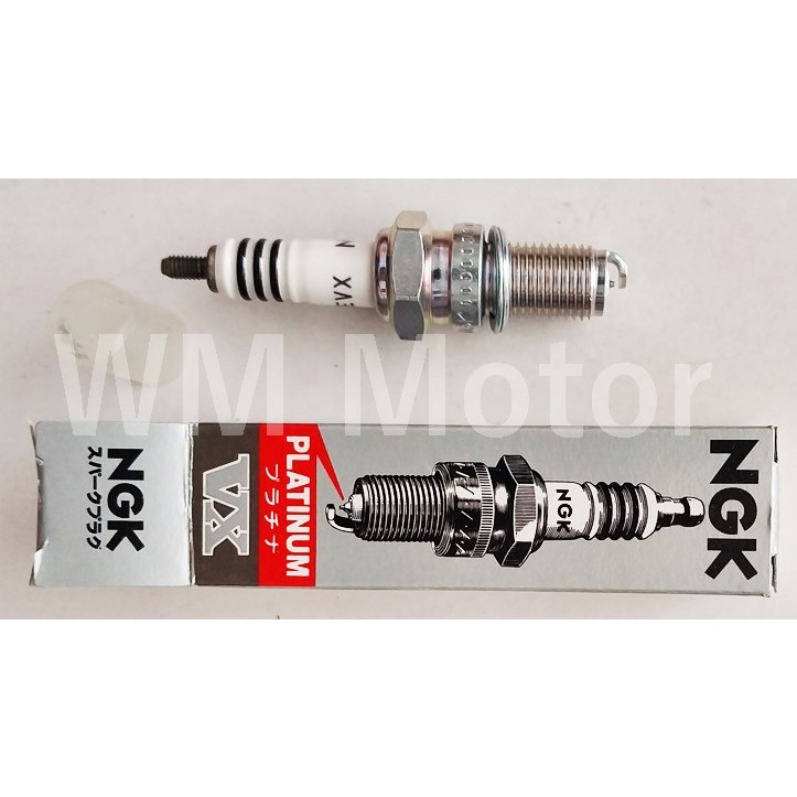 BUSI NGK PLATINUM-VX FOR CB/GL TIGER SCORPIO