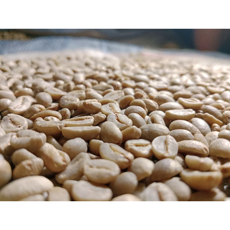 

KOPI ADAK-Grean Bean