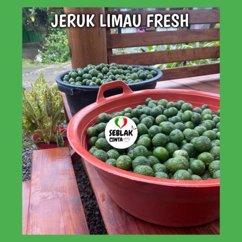 

[TERMURAH]Jeruk limau cocok buat Bakso aci dan seblak