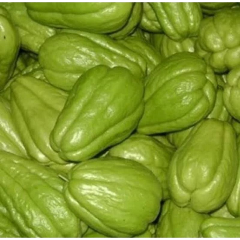 

labu siam kecil 500g