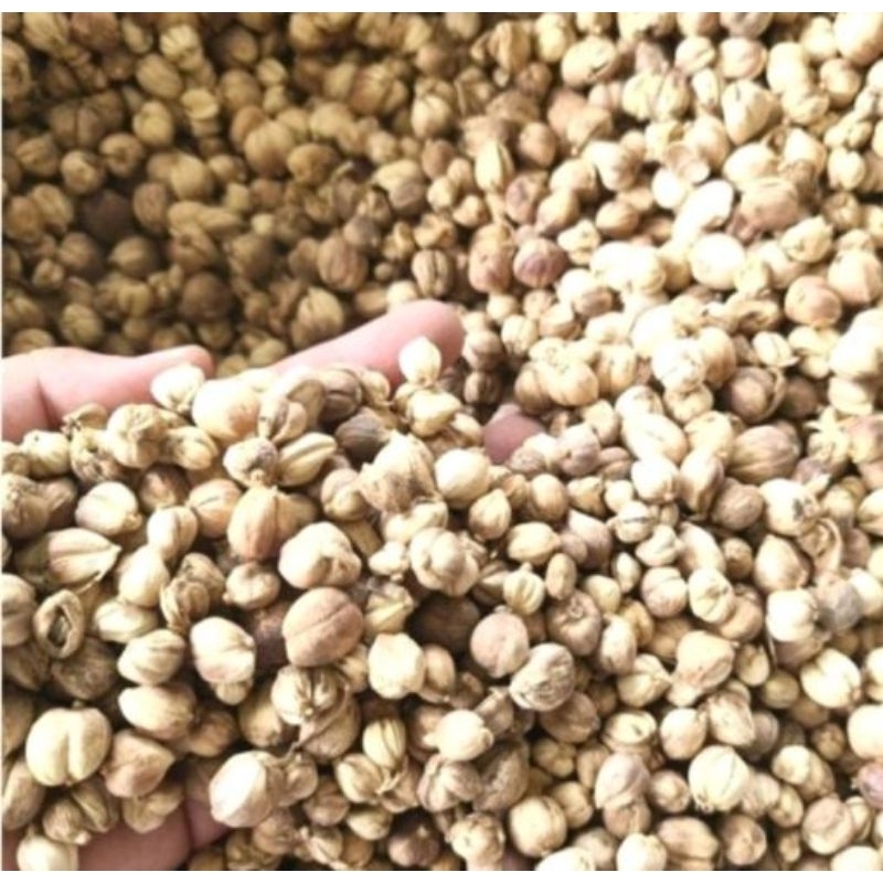 

Kapulaga kering 100gr.