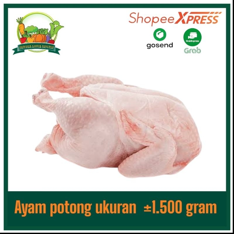 

Ayam utuh 1 ekor ukuran ±1.200gram-1.500gram fresh (BUKAN FROZEN)
