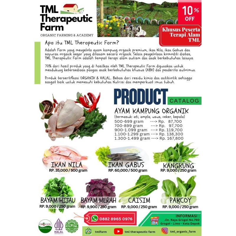 

AYAM KAMPUNG ORGANIK TML FARM (COCOK UNTUK ANAK BERKEBUTUHAN KHUSUS/ABK)
