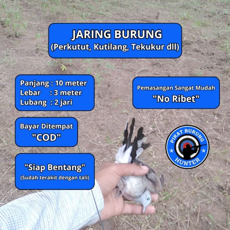 JARING BURUNG PERKUTUT JARING BURUNG KUTUT JARING BURUNG KUTUT JARING BURUNG BESAR JARING BURUNG 2 I