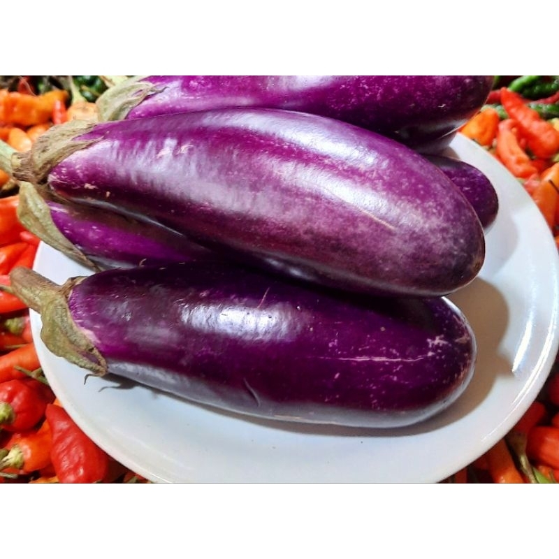 

Terong Ungu 500 Gram