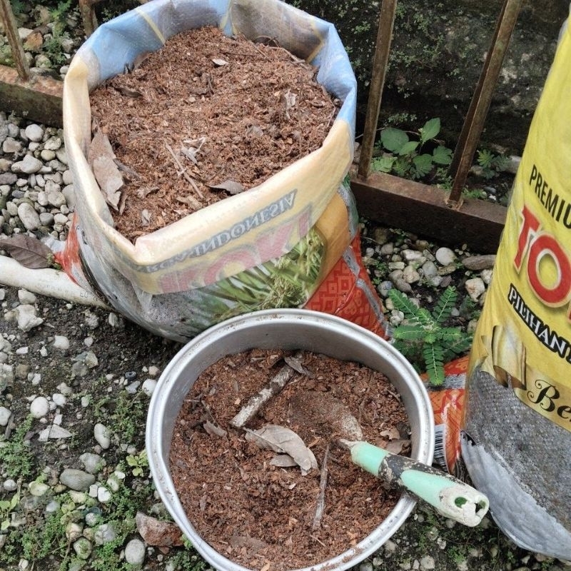 Sekam Padi Bakar