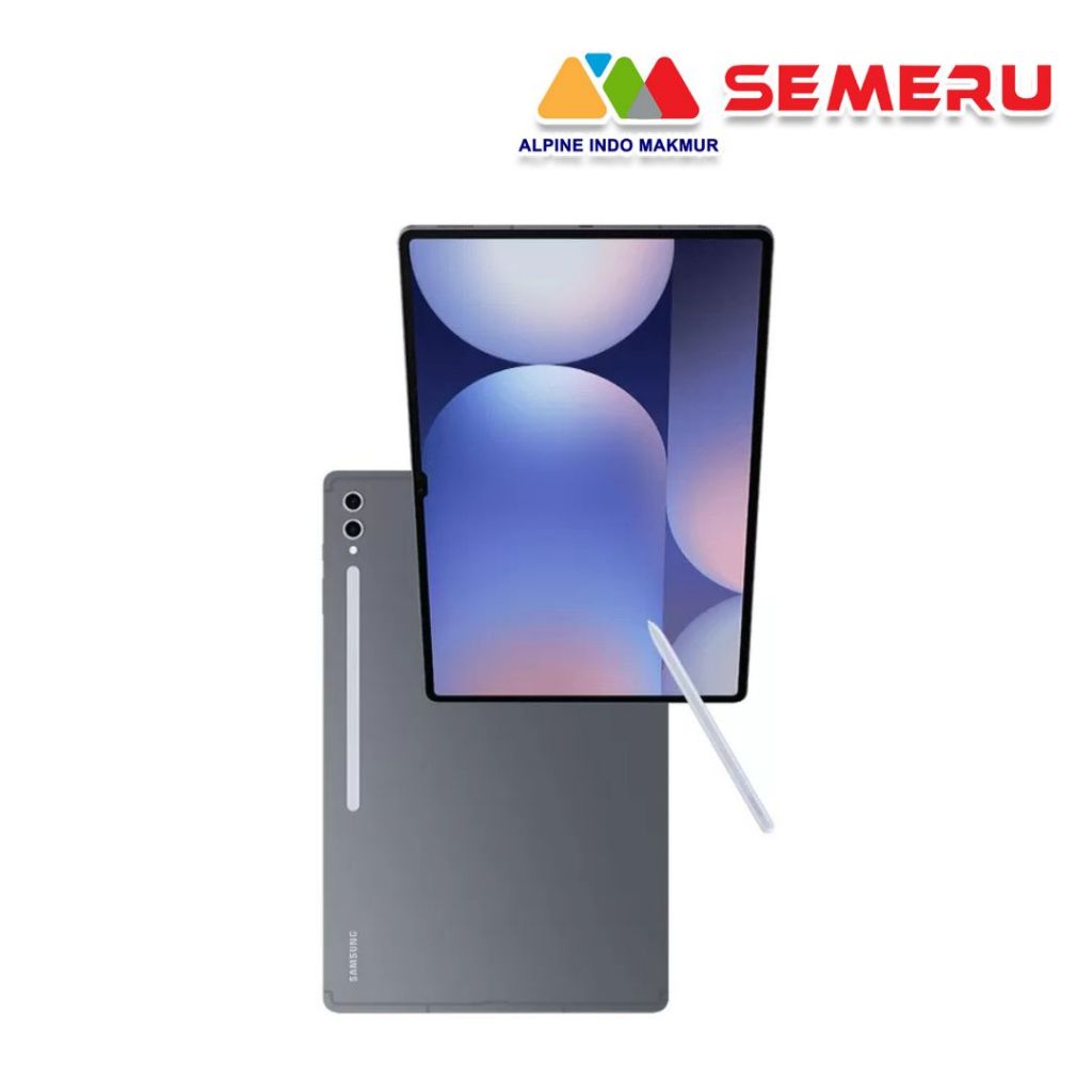 SAMSUNG TAB S10 PLUS WIFI 256