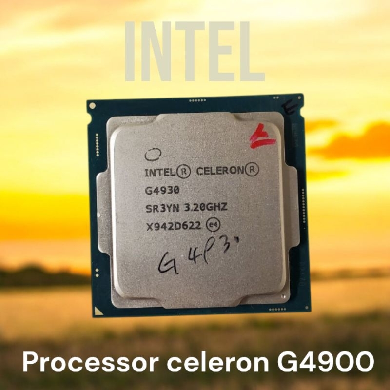 processor intel G4900 tray