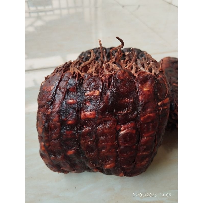 

1kg Asam asli Sumbawa NTB kwalitas premium
