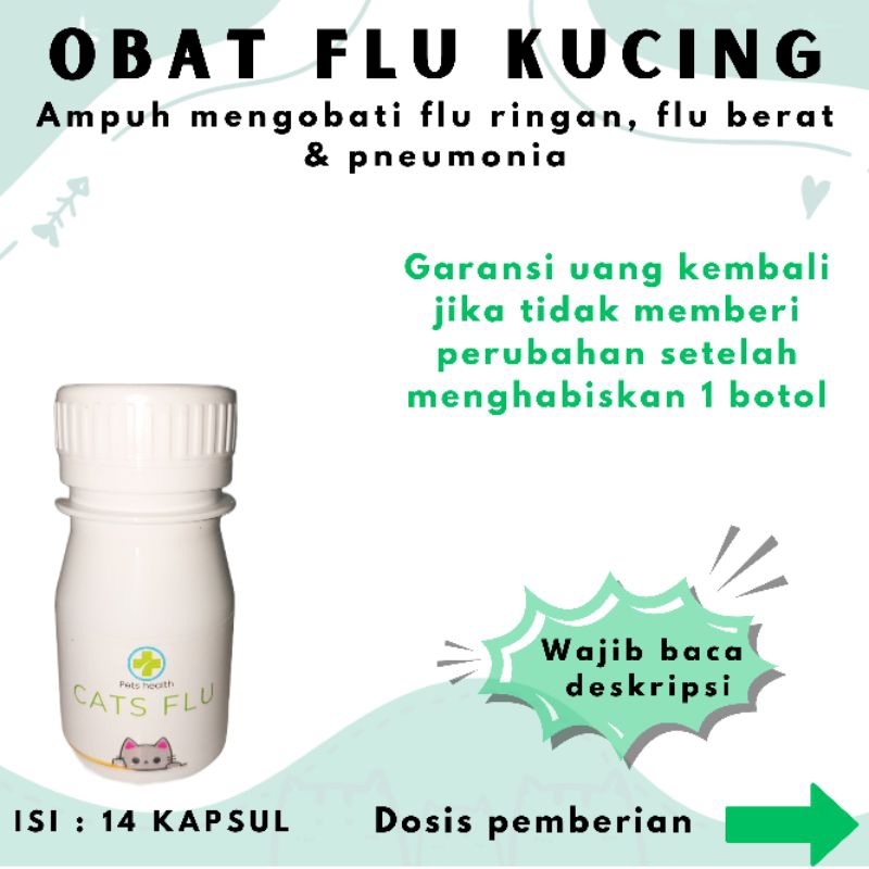 obat flu kucing ampuh/flu berat/flu menahun
