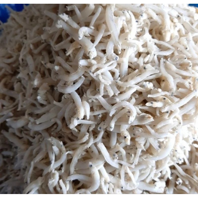 

ikan teri nasi teri medan oleh oleh medan